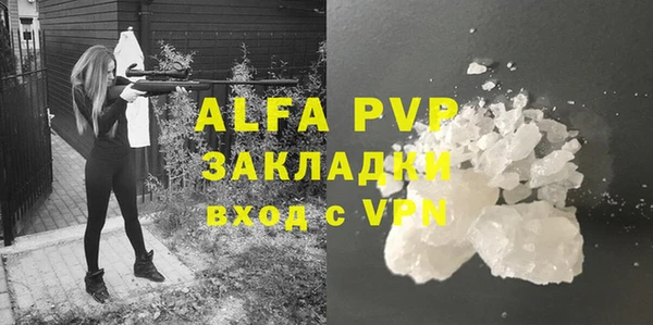 гашик Богданович